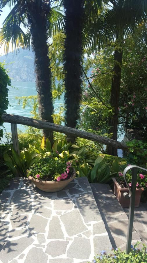 L'Oleandro Sul Lago D'Iseo B&B Сульцано Экстерьер фото