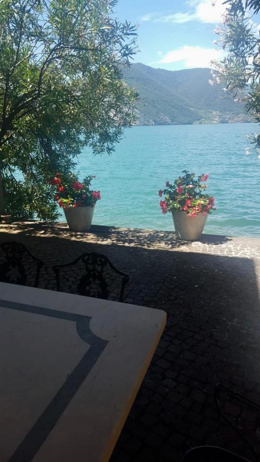 L'Oleandro Sul Lago D'Iseo B&B Сульцано Экстерьер фото