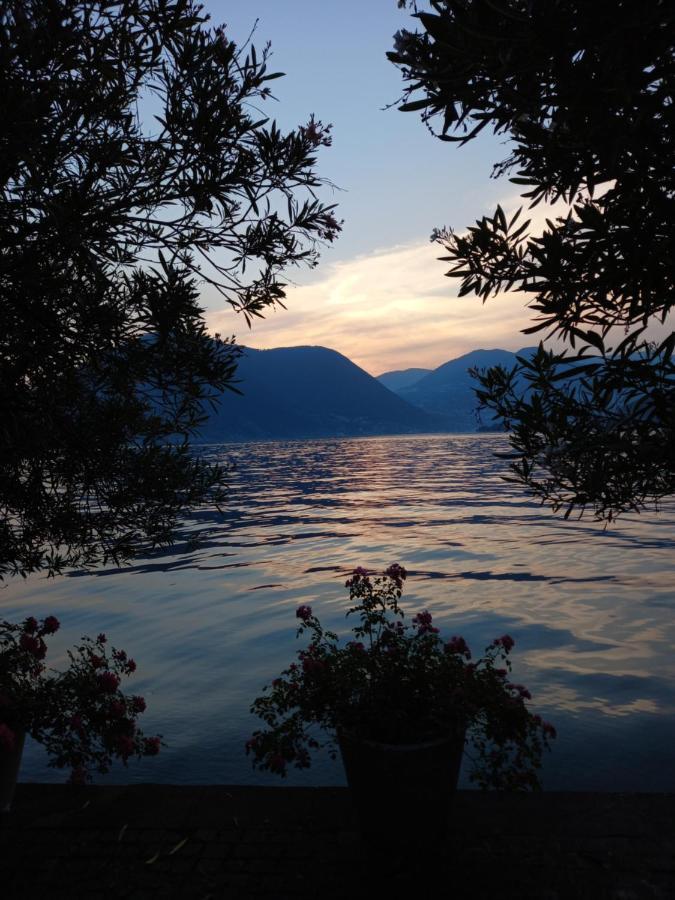L'Oleandro Sul Lago D'Iseo B&B Сульцано Экстерьер фото