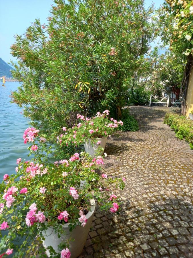 L'Oleandro Sul Lago D'Iseo B&B Сульцано Экстерьер фото