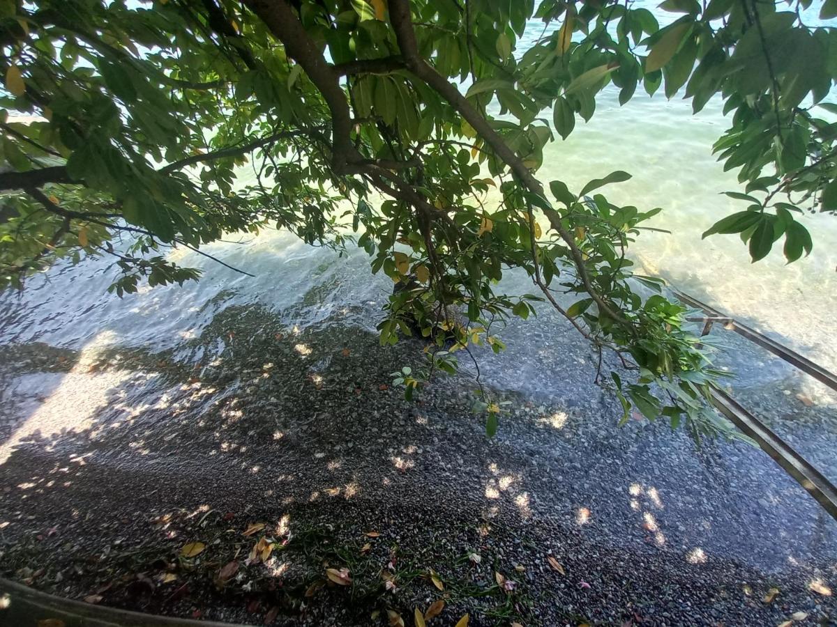 L'Oleandro Sul Lago D'Iseo B&B Сульцано Экстерьер фото