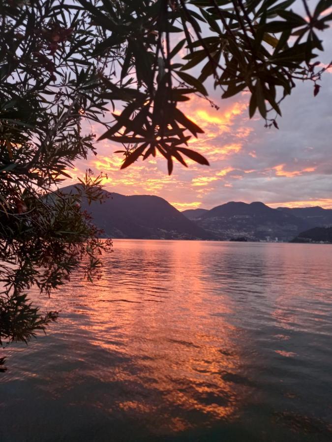 L'Oleandro Sul Lago D'Iseo B&B Сульцано Экстерьер фото