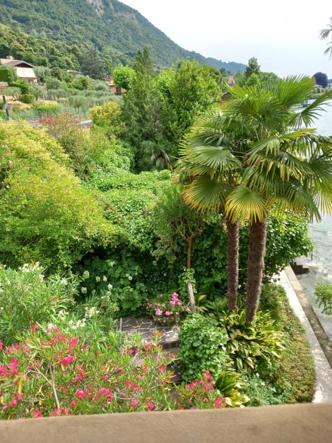 L'Oleandro Sul Lago D'Iseo B&B Сульцано Экстерьер фото