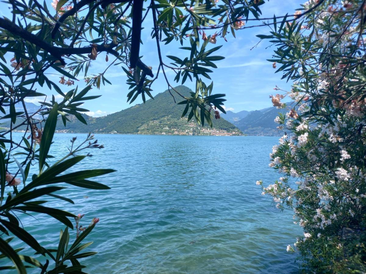 L'Oleandro Sul Lago D'Iseo B&B Сульцано Экстерьер фото
