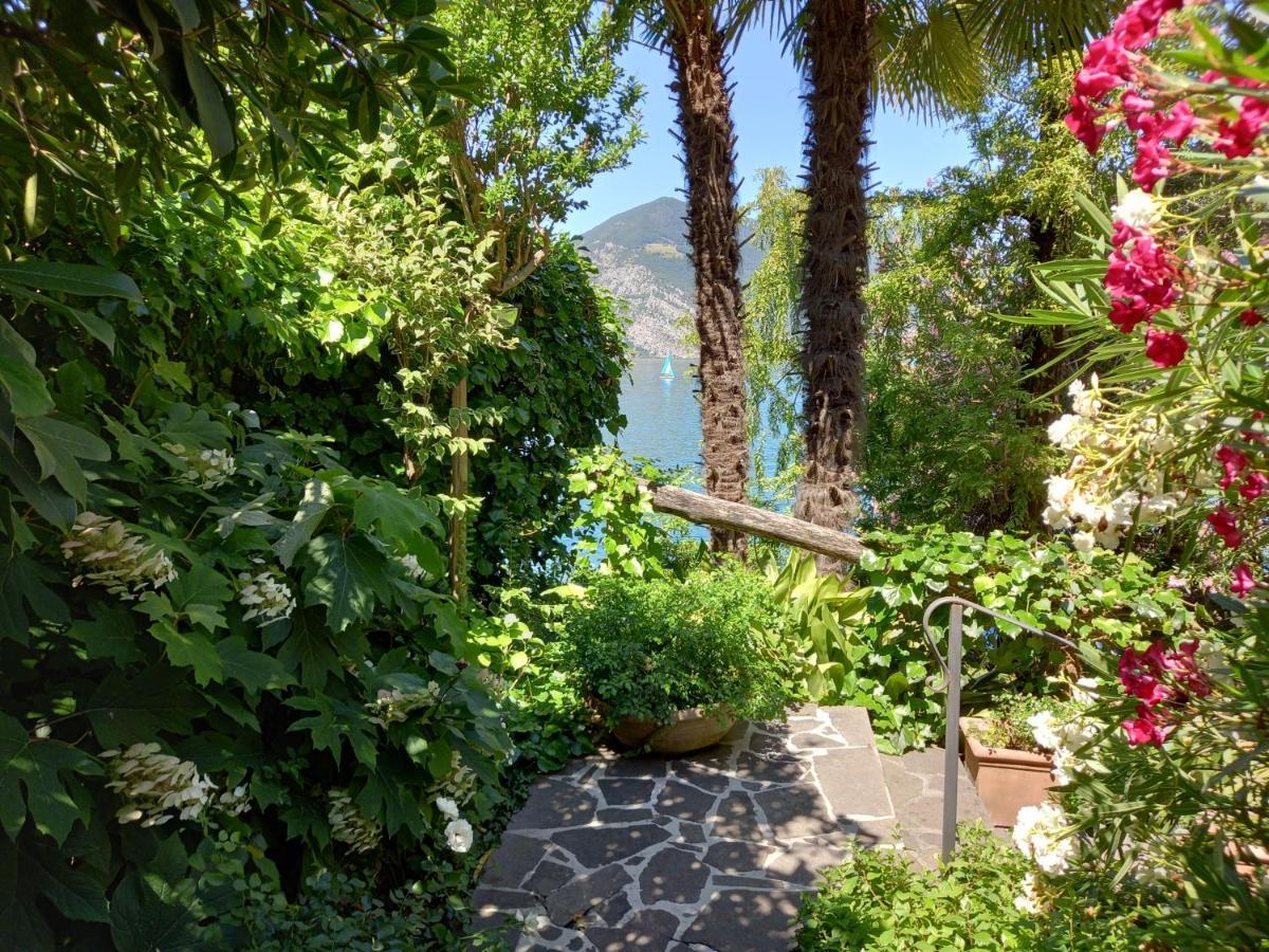 L'Oleandro Sul Lago D'Iseo B&B Сульцано Экстерьер фото