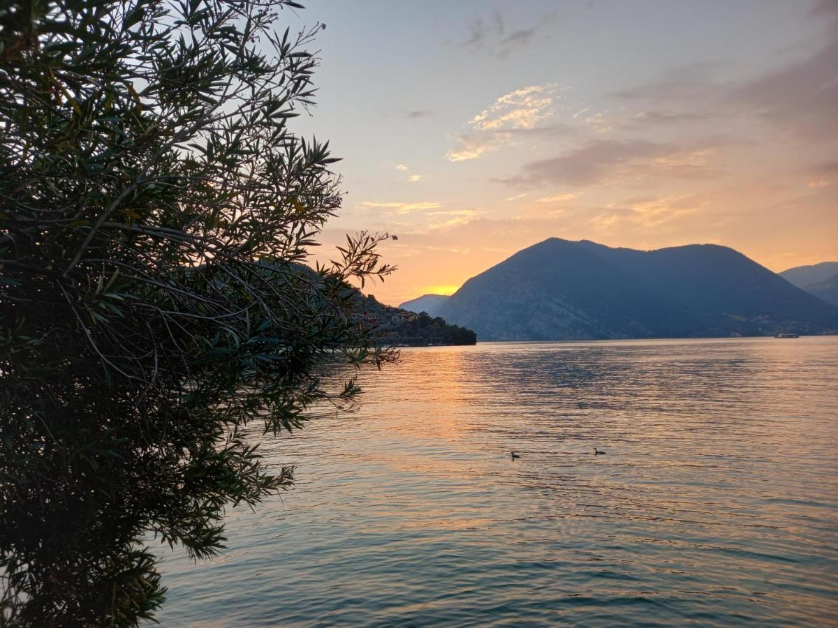 L'Oleandro Sul Lago D'Iseo B&B Сульцано Экстерьер фото