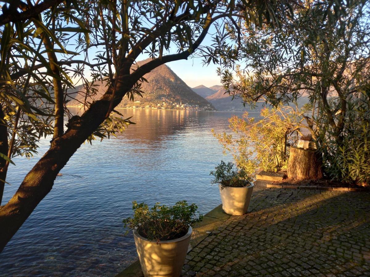 L'Oleandro Sul Lago D'Iseo B&B Сульцано Экстерьер фото