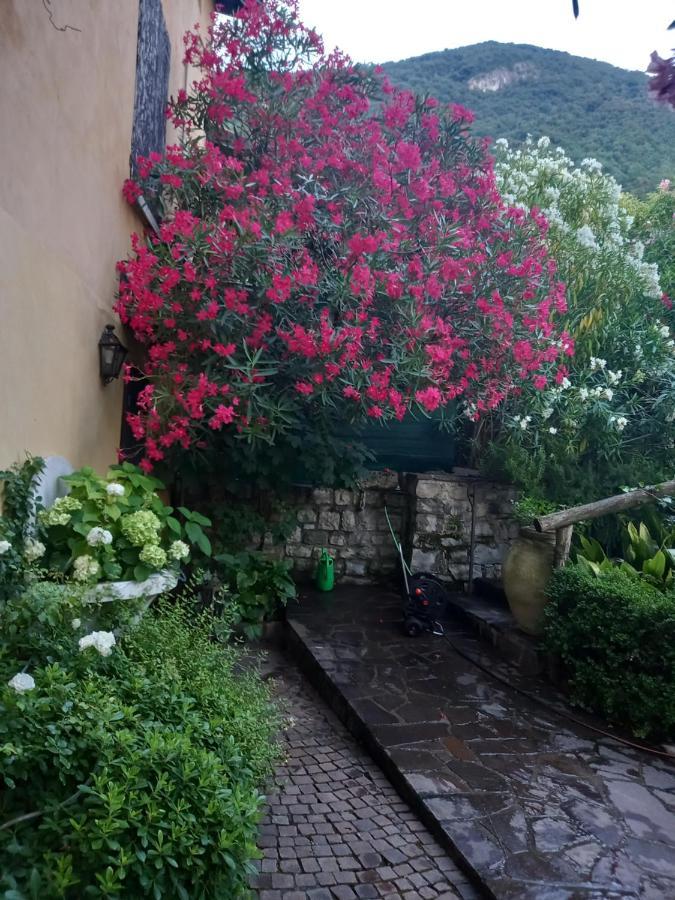 L'Oleandro Sul Lago D'Iseo B&B Сульцано Экстерьер фото